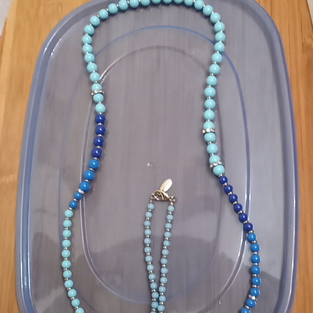 Ann Taylor Long Necklace